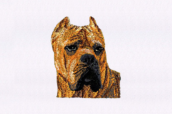 Brown Dog Embroidery Design Review