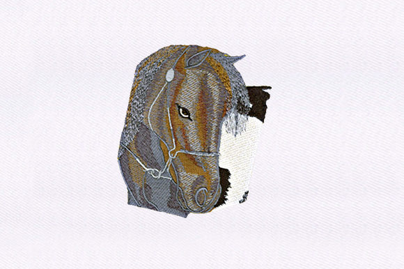 Gazing Horse Embroidery Review